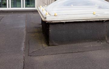 disadvantages of Springfields flat roofs