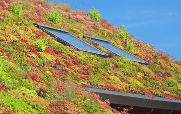 Springfields living roof systems