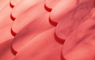 Springfields plastic roof costs