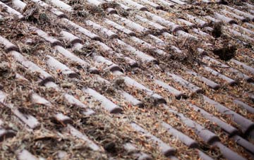 Springfields roof cleaning companies