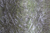 Springfields fibreglass roof work