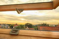 rated Springfields roof window companies